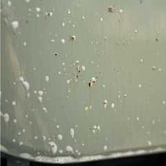 K2 PRO - Tefro Pro - Vorreiniger 1L_5