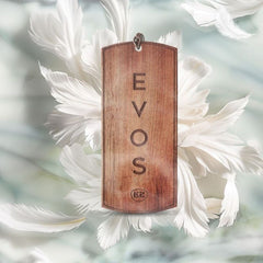 K2 - Evos Grace Angel - Holz Duftbaum - Pflaume & Praline_4